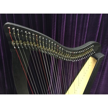 SOLD - 2nd Hand Dusty String Ravenna 34